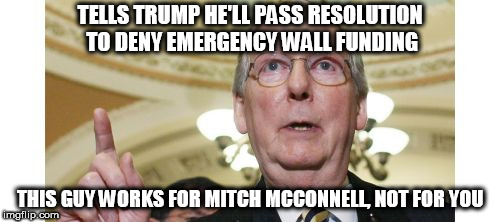 Mitch McConnell | TELLS TRUMP HE'LL PASS RESOLUTION TO DENY EMERGENCY WALL FUNDING; THIS GUY WORKS FOR MITCH MCCONNELL, NOT FOR YOU | image tagged in memes,mitch mcconnell | made w/ Imgflip meme maker