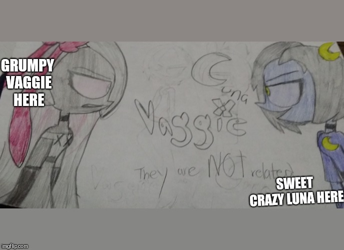 GRUMPY VAGGIE HERE; SWEET CRAZY LUNA HERE | made w/ Imgflip meme maker