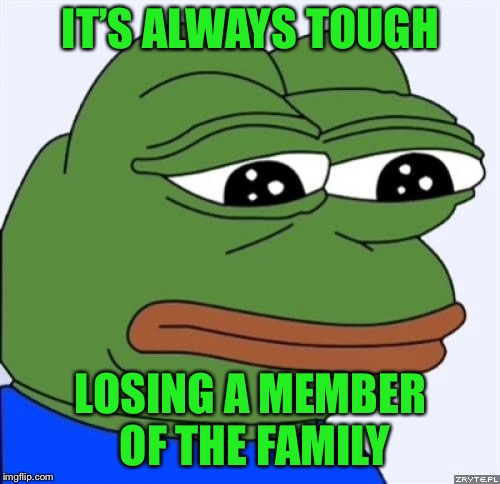 sad frog | IT’S ALWAYS TOUGH LOSING A MEMBER OF THE FAMILY | image tagged in sad frog | made w/ Imgflip meme maker