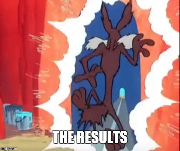THE RESULTS | made w/ Imgflip meme maker