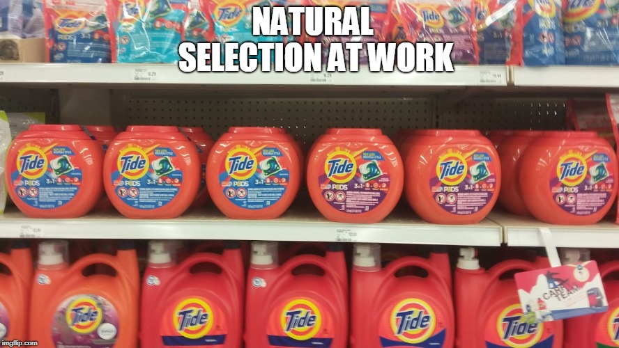 Tide pods | NATURAL SELECTION AT WORK | image tagged in tide pods | made w/ Imgflip meme maker