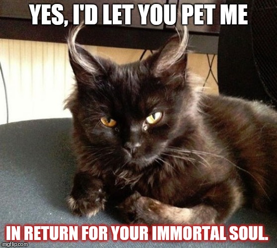 Satan cat | YES, I'D LET YOU PET ME; IN RETURN FOR YOUR IMMORTAL SOUL. | image tagged in satan cat,cute | made w/ Imgflip meme maker