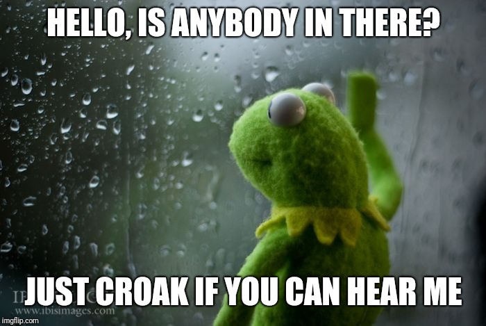 kermit window | HELLO, IS ANYBODY IN THERE? JUST CROAK IF YOU CAN HEAR ME | image tagged in kermit window | made w/ Imgflip meme maker