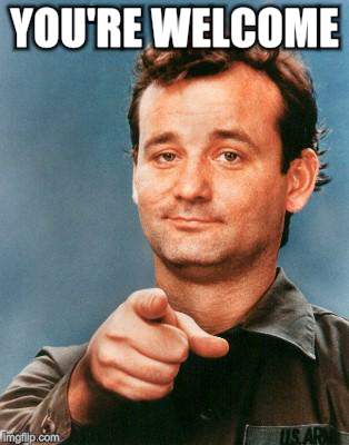 Bill Murray You're Awesome | YOU'RE WELCOME | image tagged in bill murray you're awesome | made w/ Imgflip meme maker
