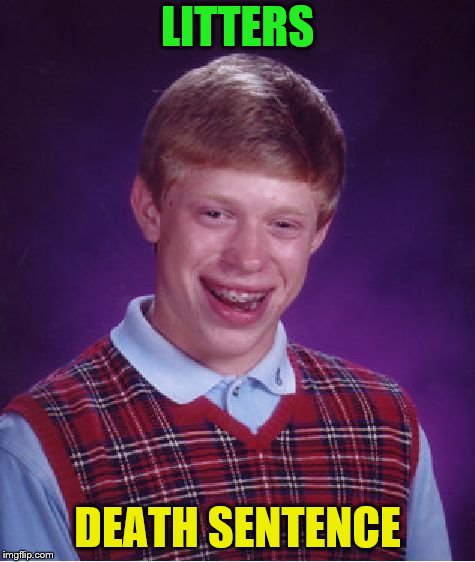 Bad Luck Brian Meme | LITTERS DEATH SENTENCE | image tagged in memes,bad luck brian | made w/ Imgflip meme maker