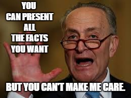 Chuck Schumer | YOU CAN PRESENT ALL THE FACTS YOU WANT; BUT YOU CAN'T MAKE ME CARE. | image tagged in chuck schumer,random,politics,facts | made w/ Imgflip meme maker