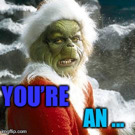 grinch | YOU’RE AN ... | image tagged in grinch | made w/ Imgflip meme maker