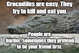 crocodiles | Crocodiles are easy.
They try to kill and eat you. People are harder.
Sometimes they pretend to be your friend first. | image tagged in funny | made w/ Imgflip meme maker