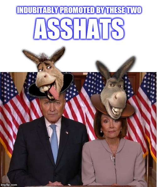 Schumer and Pelosi AssHats | INDUBITABLY PROMOTED BY THESE TWO ASSHATS | image tagged in schumer and pelosi asshats | made w/ Imgflip meme maker