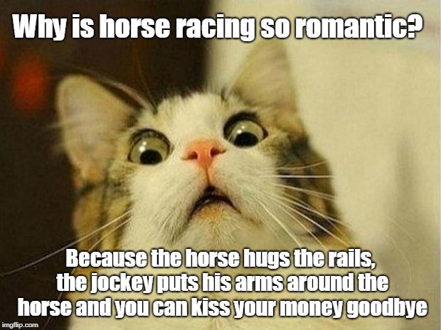 Romantic Race | Why is horse racing so romantic? Because the horse hugs the rails, the jockey puts his arms around the horse and you can kiss your money goodbye | image tagged in sport | made w/ Imgflip meme maker