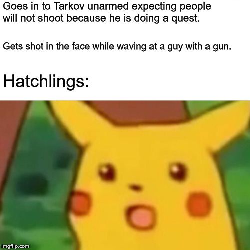 Surprised Pikachu Meme | Goes in to Tarkov unarmed expecting people will not shoot because he is doing a quest. Gets shot in the face while waving at a guy with a gun. Hatchlings: | image tagged in memes,surprised pikachu | made w/ Imgflip meme maker