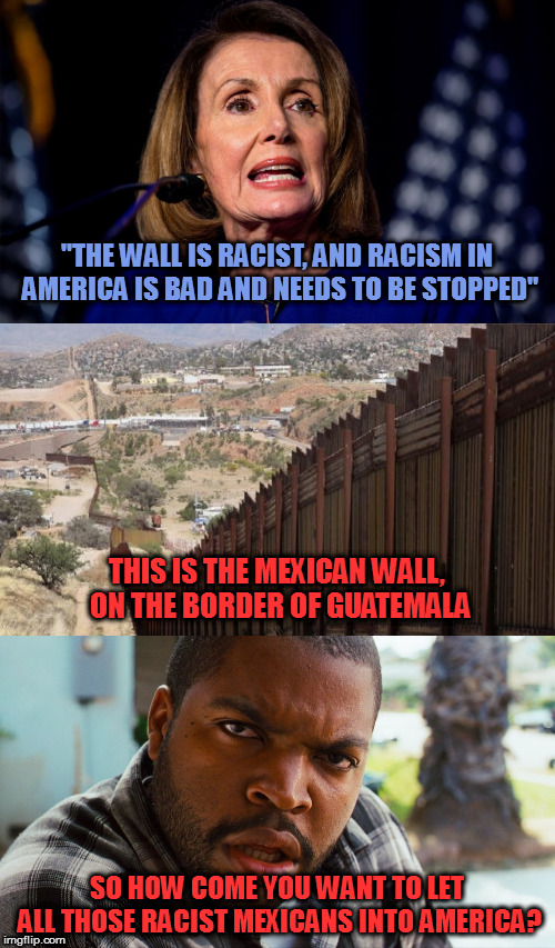 Not an actual verbatim quote from Pelosi" | "THE WALL IS RACIST, AND RACISM IN AMERICA IS BAD AND NEEDS TO BE STOPPED"; THIS IS THE MEXICAN WALL, ON THE BORDER OF GUATEMALA; SO HOW COME YOU WANT TO LET ALL THOSE RACIST MEXICANS INTO AMERICA? | image tagged in memes,politics,the wall,mexico wall | made w/ Imgflip meme maker