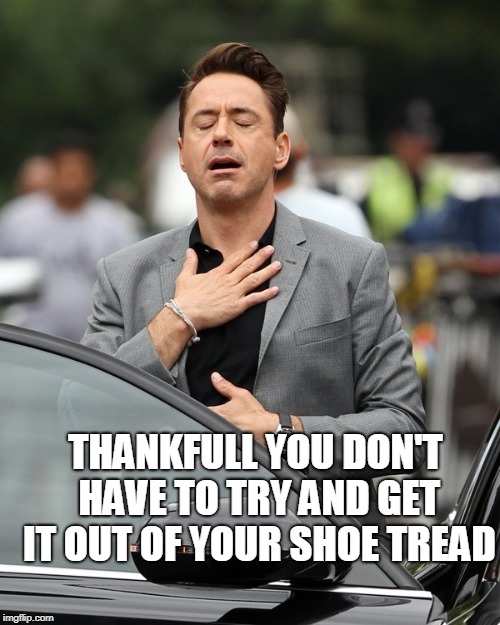 Relief | THANKFULL YOU DON'T HAVE TO TRY AND GET IT OUT OF YOUR SHOE TREAD | image tagged in relief | made w/ Imgflip meme maker