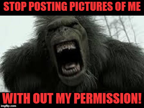 Angry Big Foot | STOP POSTING PICTURES OF ME WITH OUT MY PERMISSION! | image tagged in angry big foot | made w/ Imgflip meme maker