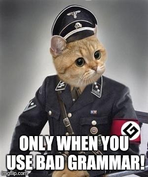 Grammar Nazi Cat | ONLY WHEN YOU USE BAD GRAMMAR! | image tagged in grammar nazi cat | made w/ Imgflip meme maker