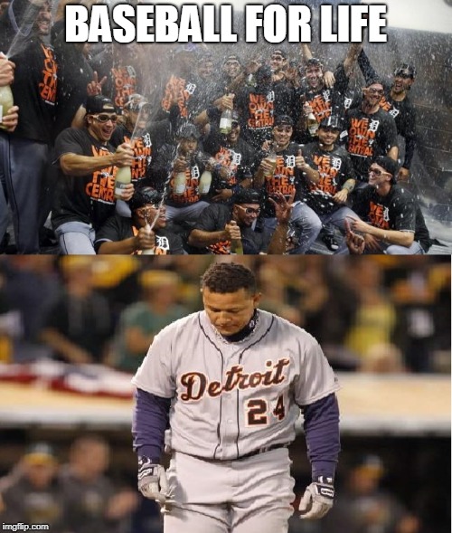 detroit tigers reaction | BASEBALL FOR LIFE | image tagged in detroit tigers reaction | made w/ Imgflip meme maker