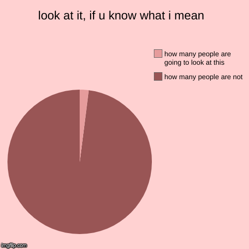 look at it, if u know what i mean  | how many people are not, how many people are going to look at this | image tagged in funny,pie charts | made w/ Imgflip chart maker