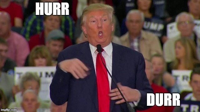 Retarded trump | HURR DURR | image tagged in retarded trump | made w/ Imgflip meme maker