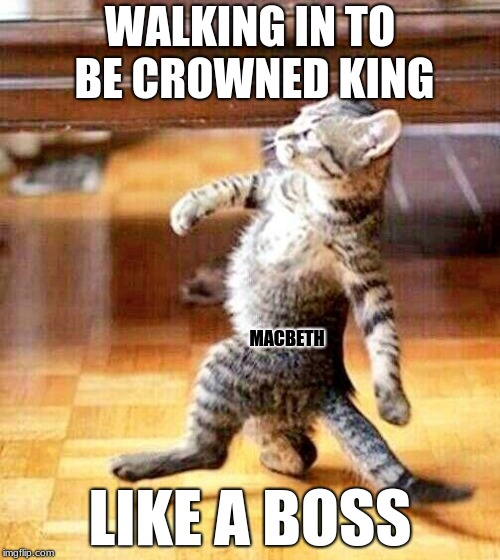 Cat Walking Away | WALKING IN TO BE CROWNED KING; MACBETH; LIKE A BOSS | image tagged in cat walking away | made w/ Imgflip meme maker