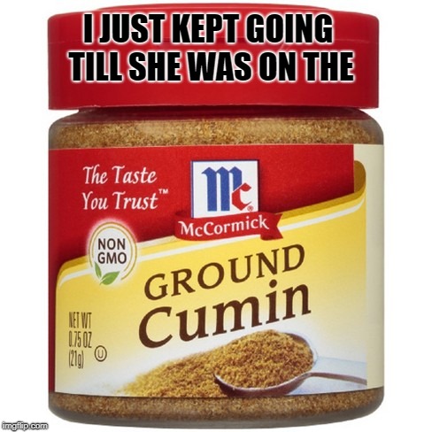ground cumin | I JUST KEPT GOING TILL SHE WAS ON THE | image tagged in ground cumin,joke | made w/ Imgflip meme maker