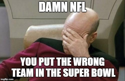 Captain Picard Facepalm | DAMN NFL; YOU PUT THE WRONG TEAM IN THE SUPER BOWL | image tagged in memes,captain picard facepalm | made w/ Imgflip meme maker