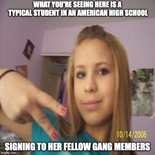 Gang Signs | WHAT YOU'RE SEEING HERE IS A TYPICAL STUDENT IN AN AMERICAN HIGH SCHOOL; SIGNING TO HER FELLOW GANG MEMBERS | image tagged in wannabe,gangster,memes,high school | made w/ Imgflip meme maker