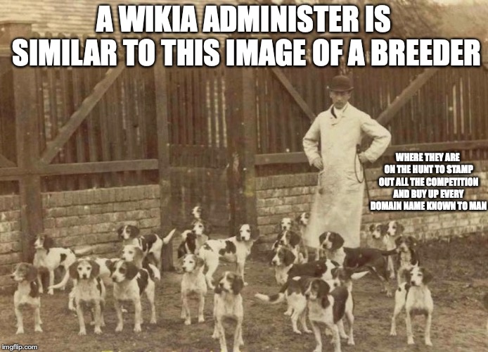 Caynsham Beagles | A WIKIA ADMINISTER IS SIMILAR TO THIS IMAGE OF A BREEDER; WHERE THEY ARE ON THE HUNT TO STAMP OUT ALL THE COMPETITION AND BUY UP EVERY DOMAIN NAME KNOWN TO MAN | image tagged in beagle,dog,memes,wikia | made w/ Imgflip meme maker