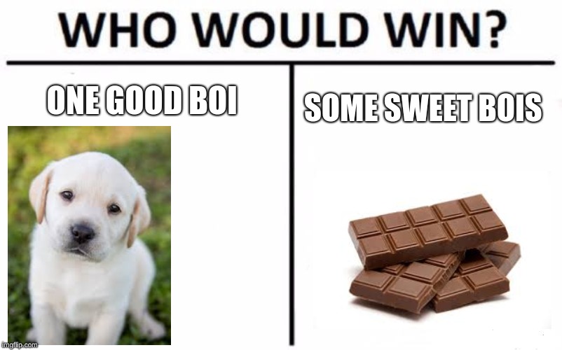 Who Would Win? | ONE GOOD BOI; SOME SWEET BOIS | image tagged in memes,who would win | made w/ Imgflip meme maker