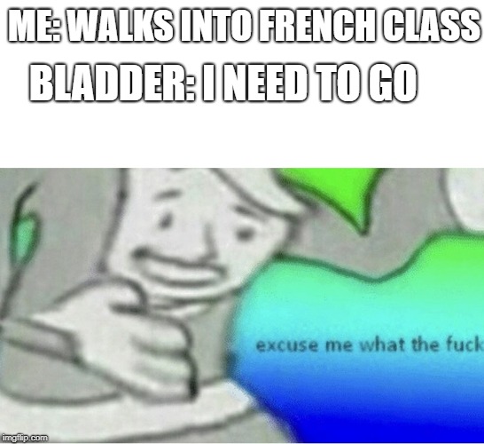 Excuse me wtf blank template | BLADDER: I NEED TO GO; ME: WALKS INTO FRENCH CLASS | image tagged in excuse me wtf blank template | made w/ Imgflip meme maker