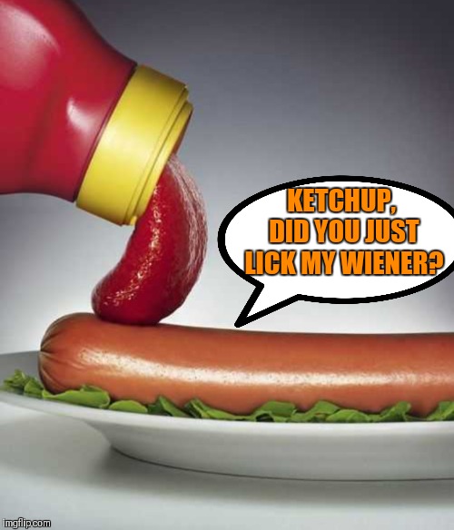 Hot Dog | KETCHUP, DID YOU JUST LICK MY WIENER? | image tagged in memes,funny,ketchup,wiener,food,funny food | made w/ Imgflip meme maker