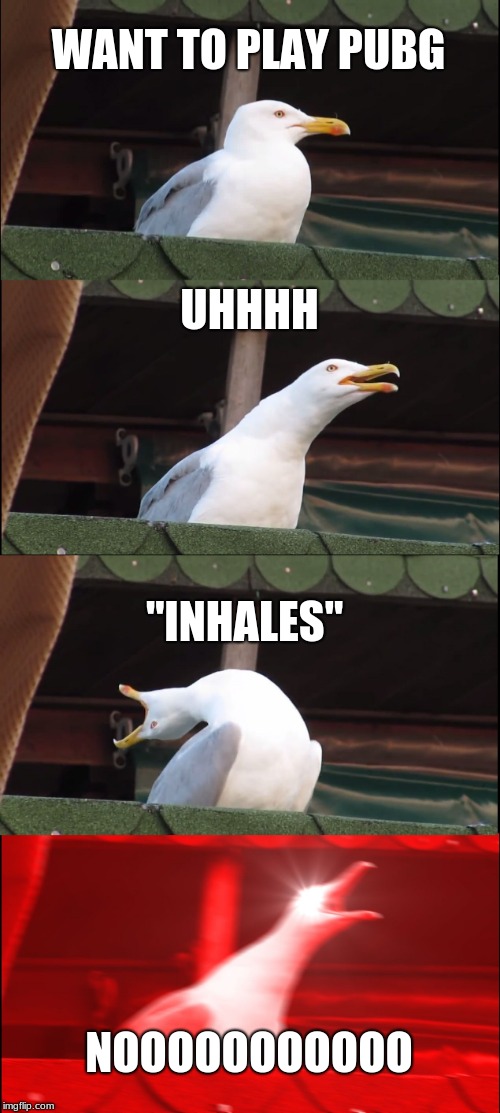 Inhaling Seagull | WANT TO PLAY PUBG; UHHHH; "INHALES"; NOOOOOOOOOOO | image tagged in memes,inhaling seagull | made w/ Imgflip meme maker