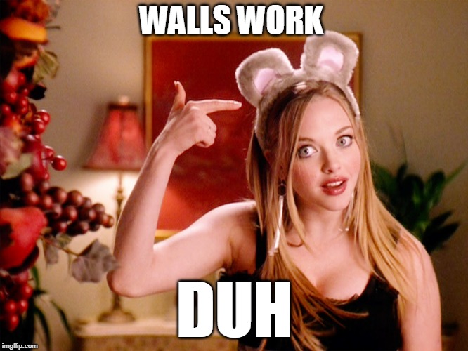 Just Ask Israel | WALLS WORK; DUH | image tagged in duh,border wall,illegal immigration | made w/ Imgflip meme maker