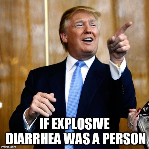 Donal Trump Birthday | IF EXPLOSIVE DIARRHEA WAS A PERSON | image tagged in donal trump birthday | made w/ Imgflip meme maker