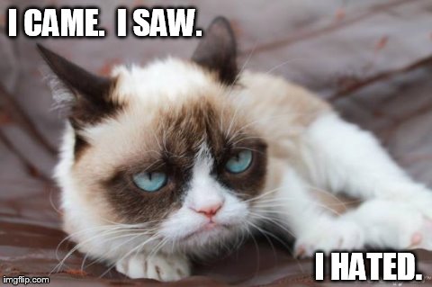image tagged in memes,grumpy cat,funny,cats | made w/ Imgflip meme maker