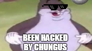 been hacked by chungus | BEEN HACKED; BY CHUNGUS | image tagged in big chungus | made w/ Imgflip meme maker