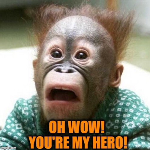 Shocked Monkey | OH WOW! YOU'RE MY HERO! | image tagged in shocked monkey | made w/ Imgflip meme maker