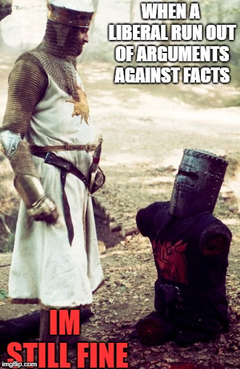 black knight | WHEN A LIBERAL RUN OUT OF ARGUMENTS AGAINST FACTS; IM STILL FINE | image tagged in black knight | made w/ Imgflip meme maker
