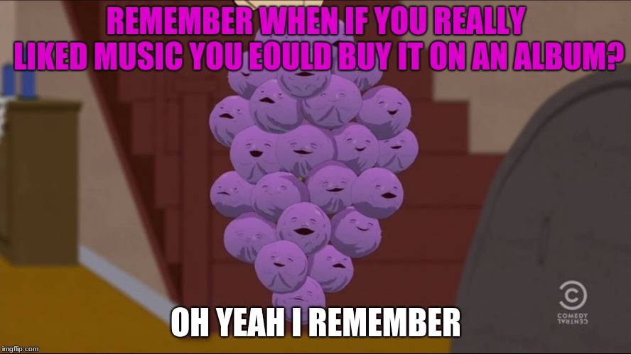 Member Berries | REMEMBER WHEN IF YOU REALLY LIKED MUSIC YOU EOULD BUY IT ON AN ALBUM? OH YEAH I REMEMBER | image tagged in memes,member berries | made w/ Imgflip meme maker