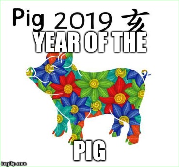 YEAR OF THE; PIG | image tagged in pig time | made w/ Imgflip meme maker