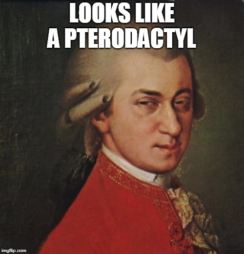 Mozart Not Sure Meme | LOOKS LIKE A PTERODACTYL | image tagged in memes,mozart not sure | made w/ Imgflip meme maker