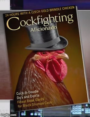 Cockfighting | image tagged in cockfighting | made w/ Imgflip meme maker
