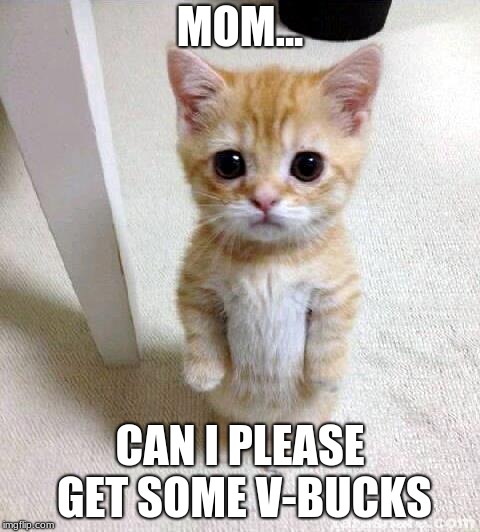 Cute Cat | MOM... CAN I PLEASE GET SOME V-BUCKS | image tagged in memes,cute cat | made w/ Imgflip meme maker