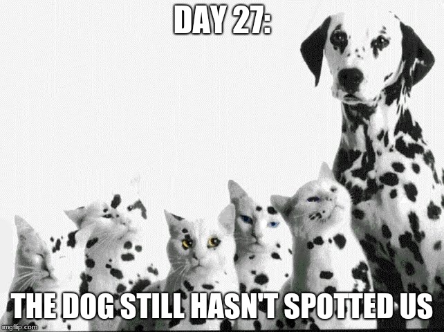 DAY 27: THE DOG STILL HASN'T SPOTTED US | made w/ Imgflip meme maker