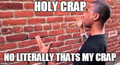 Brick Wall | HOLY CRAP NO LITERALLY THATS MY CRAP | image tagged in brick wall | made w/ Imgflip meme maker