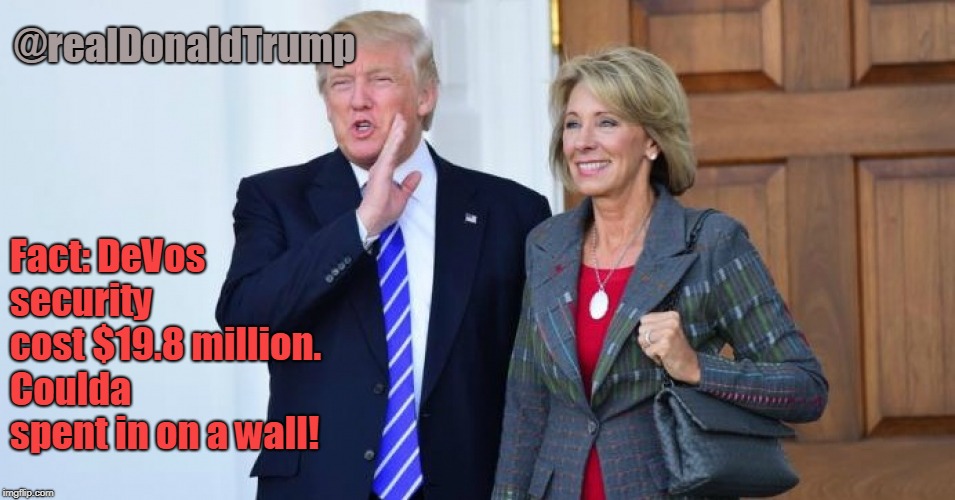 Betsy devos | @realDonaldTrump; Fact: DeVos security cost $19.8 million. Coulda spent in on a wall! | image tagged in betsy devos | made w/ Imgflip meme maker