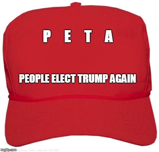 blank red MAGA hat | P     E     T     A; PEOPLE ELECT TRUMP AGAIN | image tagged in blank red maga hat | made w/ Imgflip meme maker
