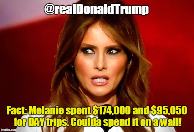 Melania trump  | @realDonaldTrump; Fact: Melanie spent $174,000 and $95,050 for DAY trips. Coulda spend it on a wall! | image tagged in melania trump | made w/ Imgflip meme maker