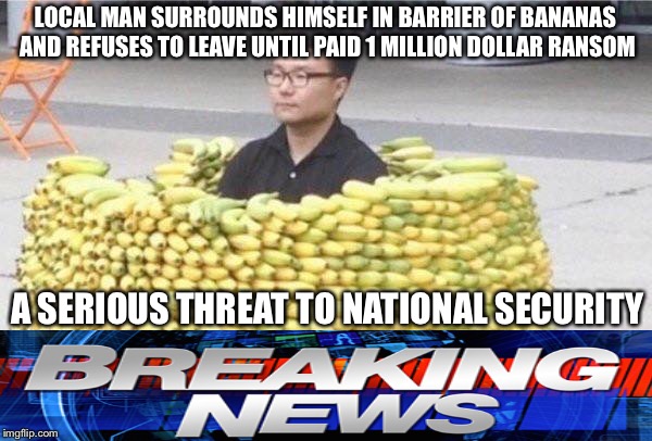 Banana fort | LOCAL MAN SURROUNDS HIMSELF IN BARRIER OF BANANAS AND REFUSES TO LEAVE UNTIL PAID 1 MILLION DOLLAR RANSOM; A SERIOUS THREAT TO NATIONAL SECURITY | image tagged in banana fort | made w/ Imgflip meme maker