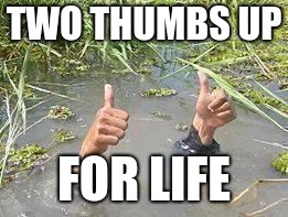 underWater | TWO THUMBS UP; FOR LIFE | image tagged in underwater | made w/ Imgflip meme maker