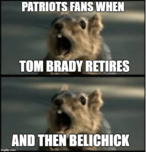 patriots haters | PATRIOTS FANS WHEN; TOM BRADY RETIRES; AND THEN BELICHICK | image tagged in memes,squirrel,new england patriots | made w/ Imgflip meme maker